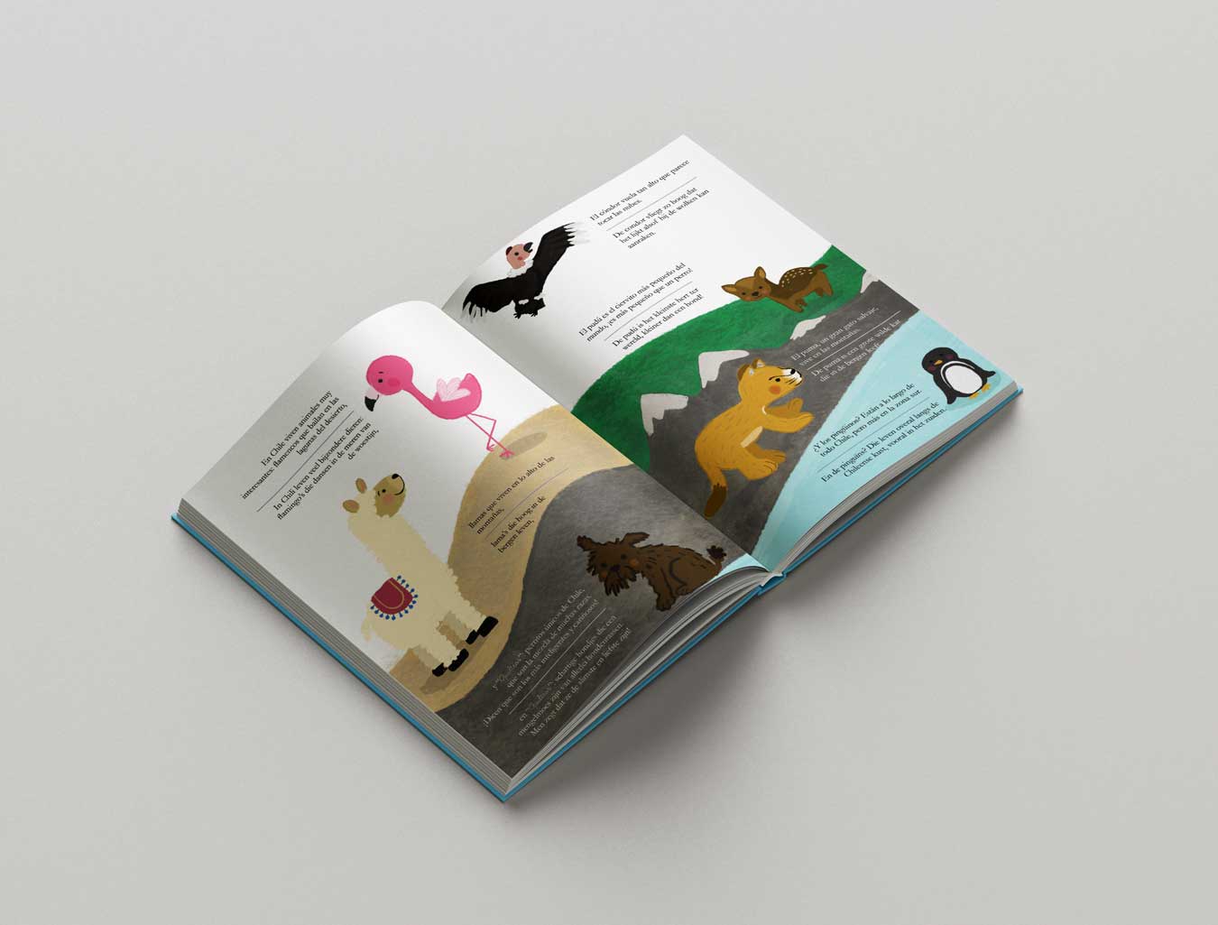 Lupe and Isa go to Chile