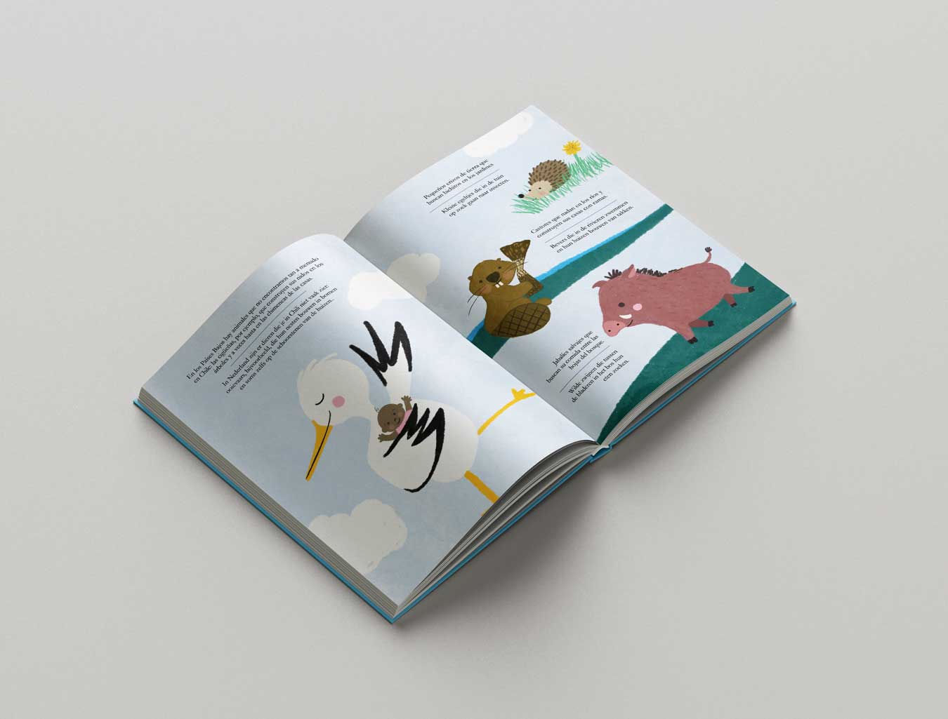 Lupe and Isa go to Chile