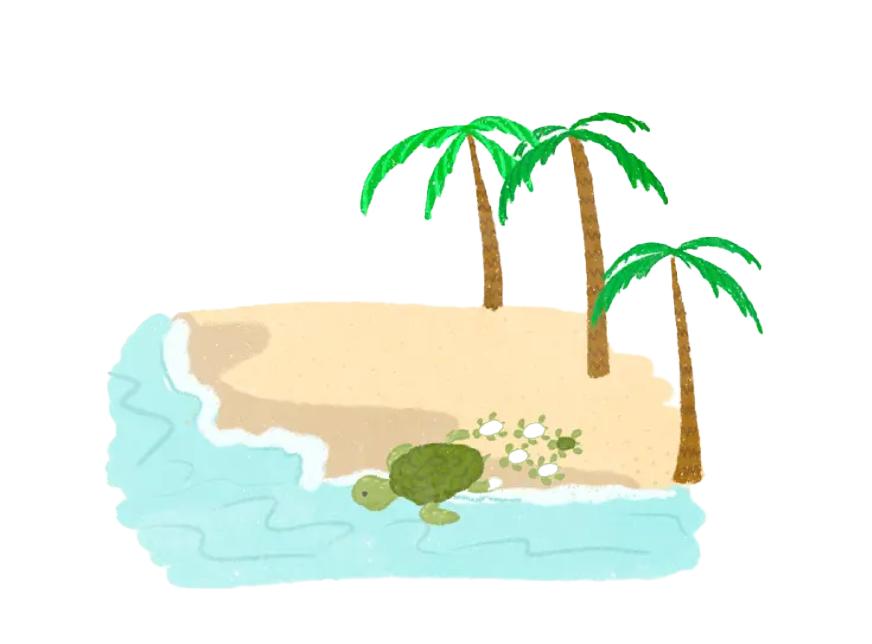 Discovering Ecuador and Belgium