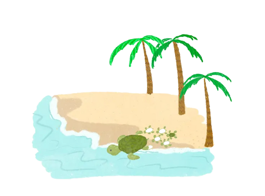 Discovering Ecuador and Belgium